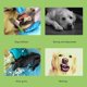 thumbnail image 3 of Plush Dog Toys Interactive Dog Puzzle Toys Cute Sloth Teething Chew Squeaky Dog Toys for Small Medium Large Dogs, 3 of 5