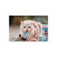 thumbnail image 4 of Full Life Gatos Adultos 1.3 kg + Churu Atún Sobre con 4 Tubos de 14 g, 4 of 4