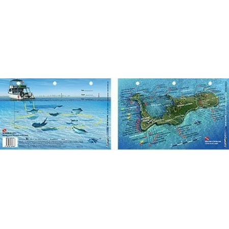 New Art to Media Underwater Waterproof 3D Dive Site Map - Stingray City in Grand Cayman, Cayman Islands,Walmartpletely Waterproof By Innovative Scuba (Best Diving In Grand Cayman)