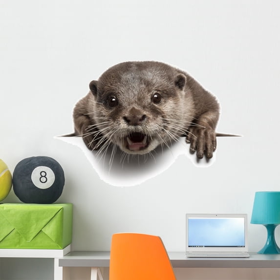 Oriental Small-clawed Otter Amblonyx Wall Decal by Wallmonkeys Peel and Stick Graphic (36 in W x 26 in H) WM324708