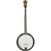 Gold Tone BG-250FW Banjo