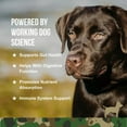 thumbnail image 6 of Operation Good Boy Probiotic Supplement for Dogs, Gut Support, Beef Liver Flavor Soft Chews, 60 Ct, 6 of 10