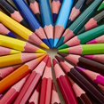 thumbnail image 4 of 50 Colored Pencils Set, Color Pencils Drawing Kit with Portable Roll-Up Canvas Bag Ideal for Adults, Artists, Sketchers & Children (Pouch Bag, Colored Pencils and Sharpener Included), 4 of 7