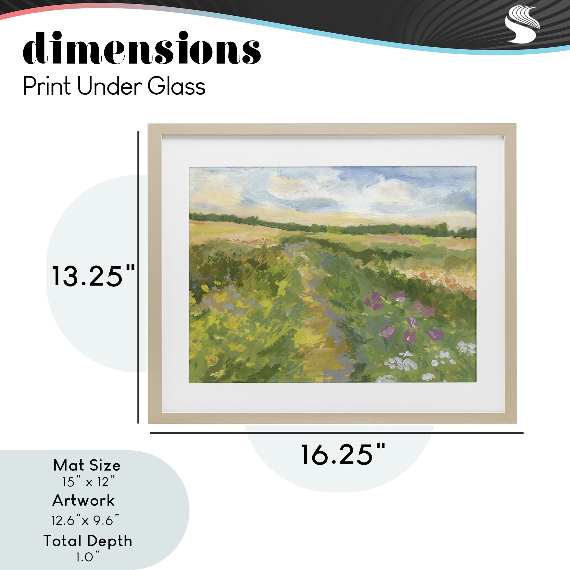 Stupell Industries Windswept Flower Field Birch Framed Print Under Glass, design by Victoria Barnes