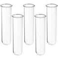 thumbnail image 1 of FELTECHELECTR 5 tubos de vidrio transparentes para flores hidropónicas, para propagación de plantas pequeñas, terrarios y floreros., 1 of 5