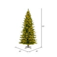 thumbnail image 3 of Vickerman 5.5' x 36" Balsam Spruce Slim Artificial Christmas Tree, 3mm LED Color Changing Lights, 3 of 5