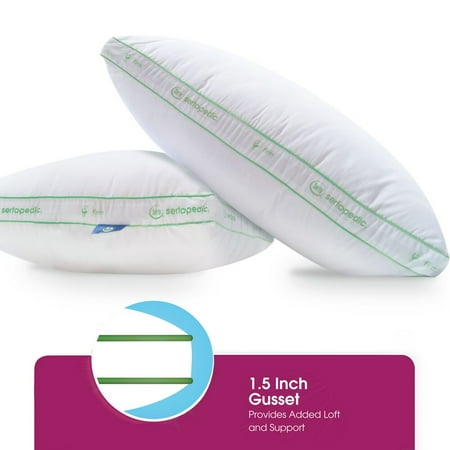 zen plush sertapedic pillow