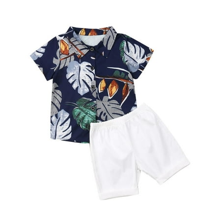 

Gwiyeopda Toddler Baby Boys Clothes Hawaii Print Shirt Solid Color Short Pants Outfit 2pcs Set
