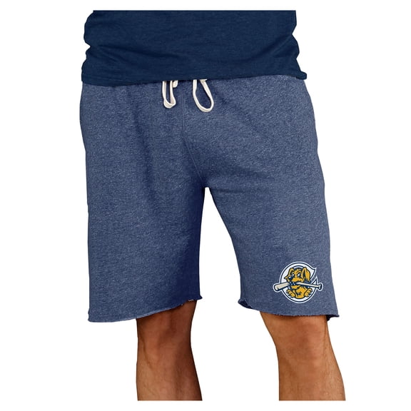 Men's Concepts Sport Navy Charleston RiverDogs Mainstream Tri-Blend Shorts