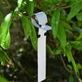 thumbnail image 3 of 100 Marqueurs Durables pour Semis et Lit de Jardin, 3 of 3