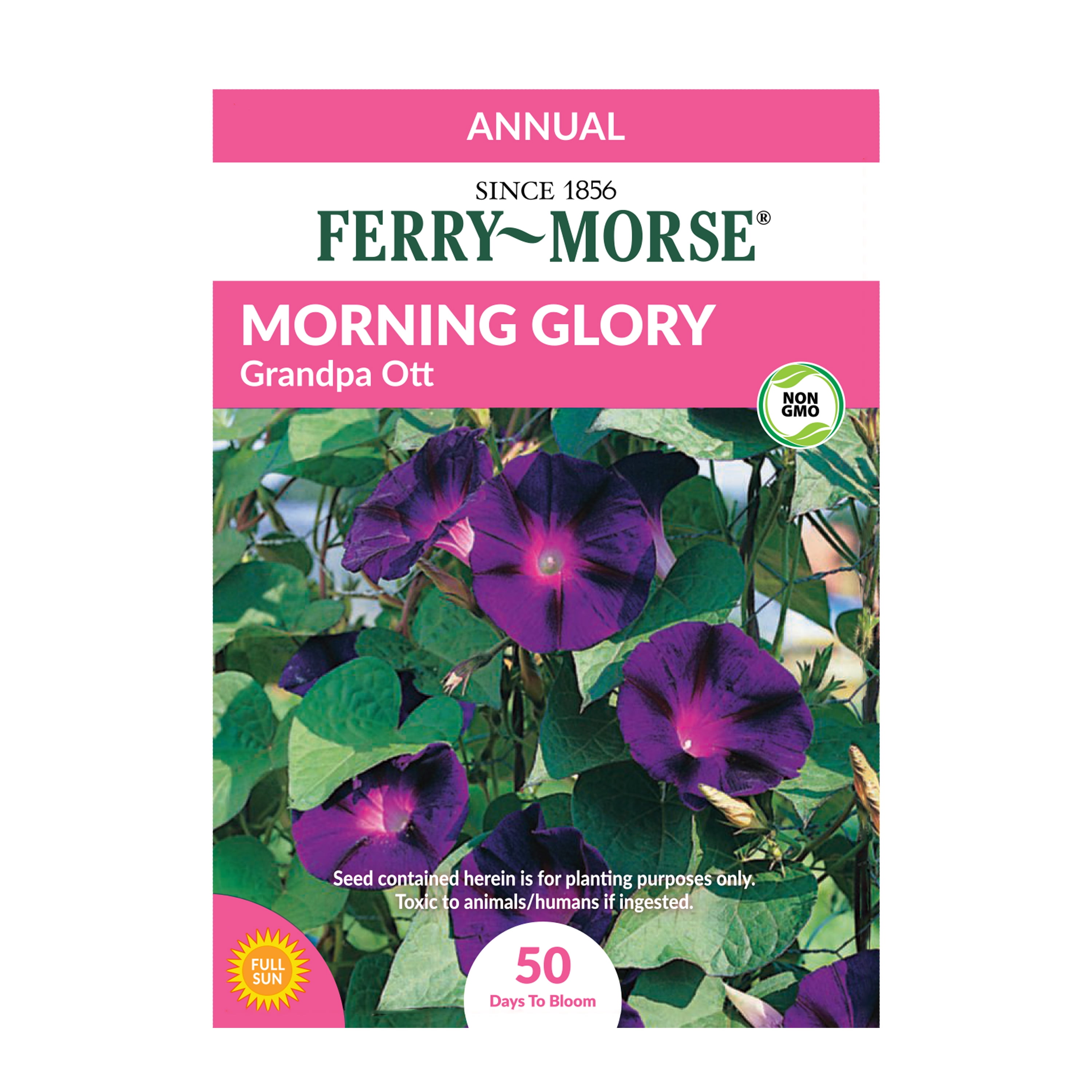 Ferry-Morse 60MG Morning Glory Grandpa Ott Flower Seeds (1 Pack)- Seed Gardening, Full Sunlight