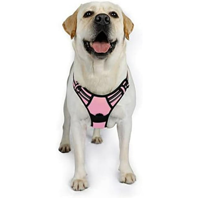 rabbitgoo Dog Harness No-Pull Pet Harness with 2 Leash Clips Adjustable Soft Padded Dog Vest Reflective No-Choke Pet Oxford Vest with Easy Control Handle for Large Dogs Orange L