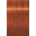 thumbnail image 2 of Tinte 7-77 Igora Royal Rubio Medio Schwarzkopf 60 Ml, 2 of 2