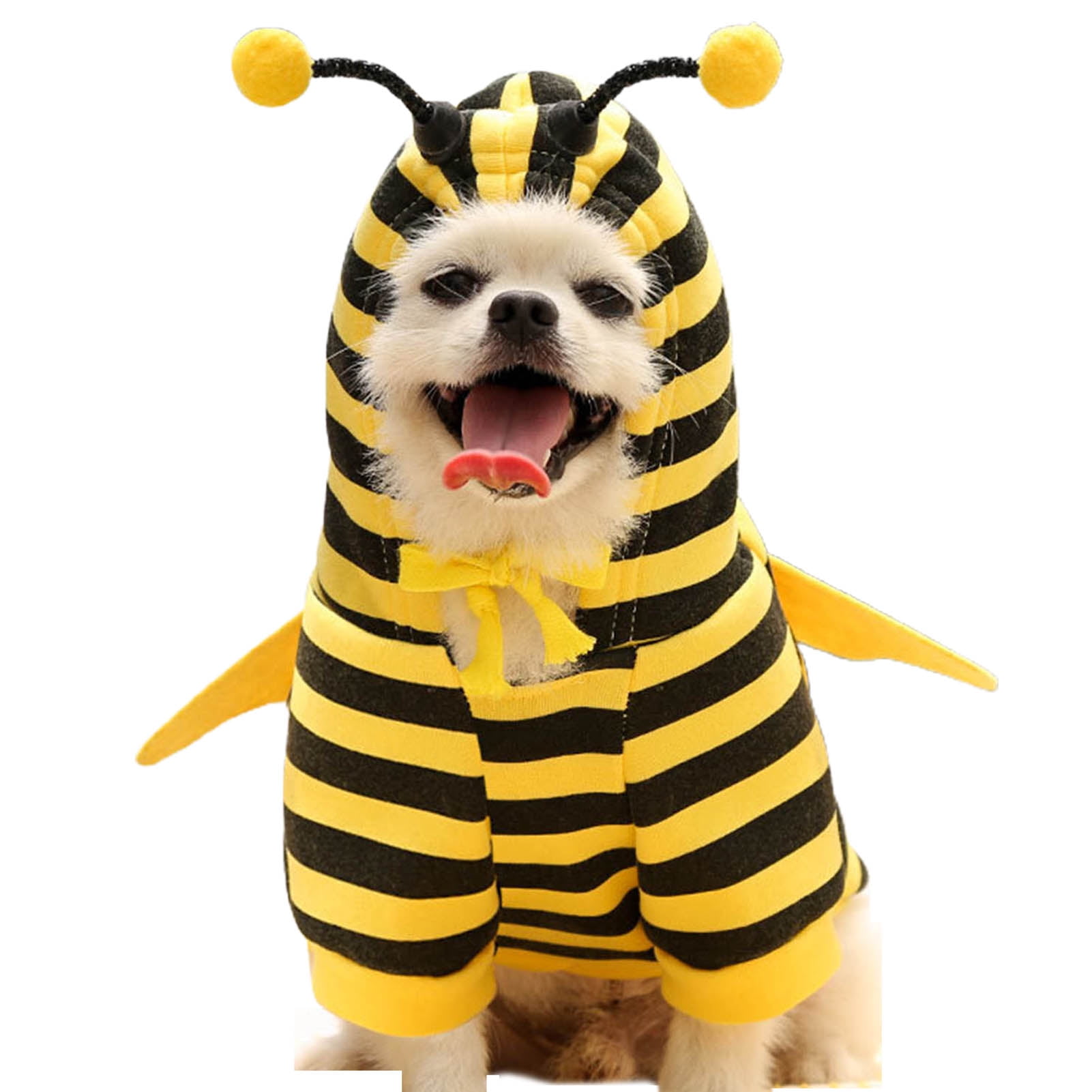 Dog Bee Costume seeds.yonsei.ac.kr