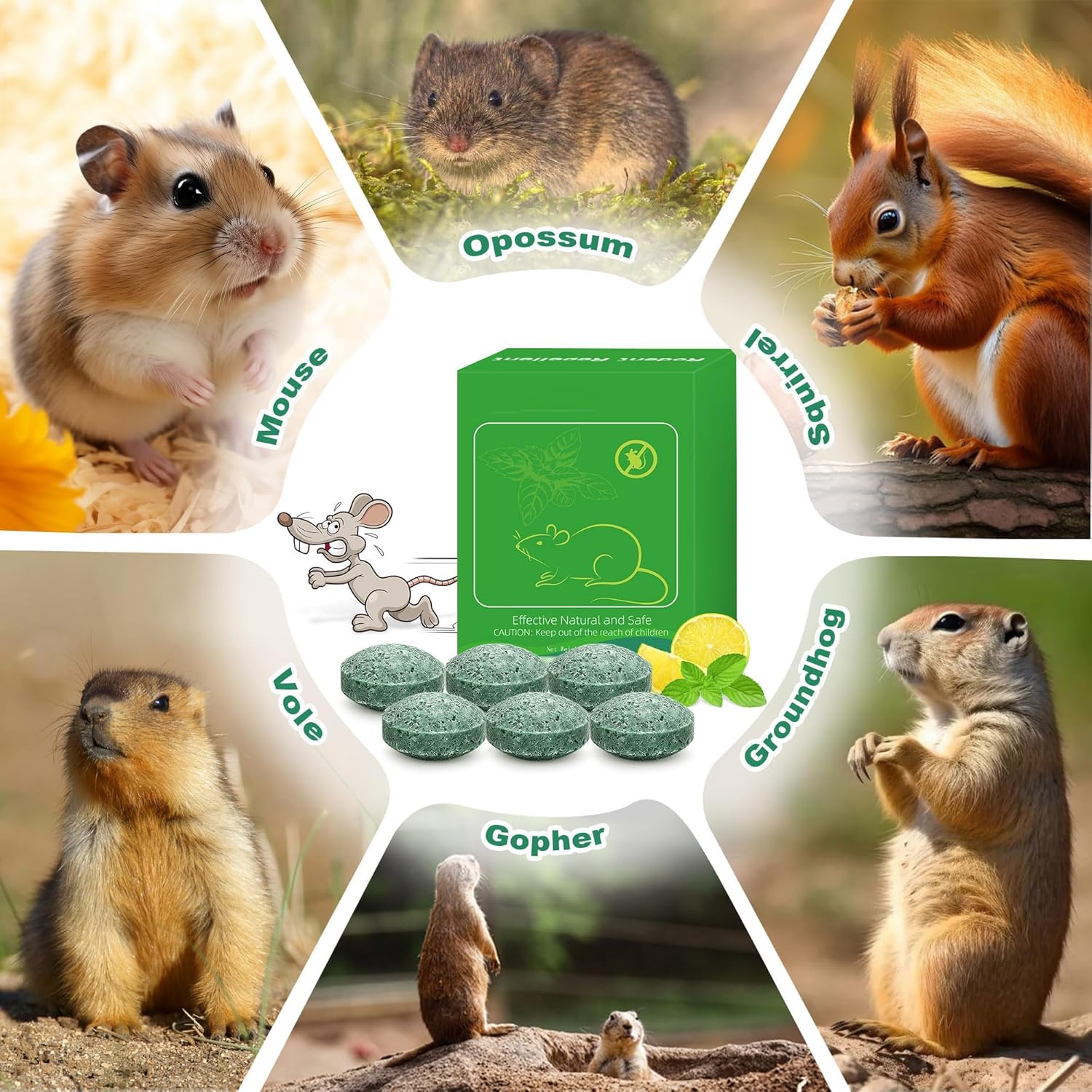 24Pcs Rodent Mice Repellent, Peppermint Oil Mouse Repellent Balls for Rats Mouse Deterrent, Keep Rat Mice Mouse Rodent Out of Indoor House Outdoor Car Engines RV Garage, Safe for Humans & Pets