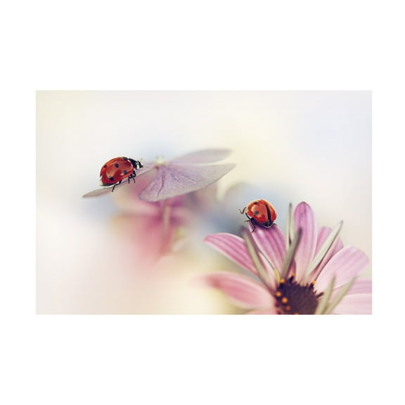 Canvas Wall Art - Ellen Van Deelen 'Last Days Of Summer' Wall Art for Living Room, Bedroom, or Office D?cor by Trademark Fine Art - 19 x 12 Inches