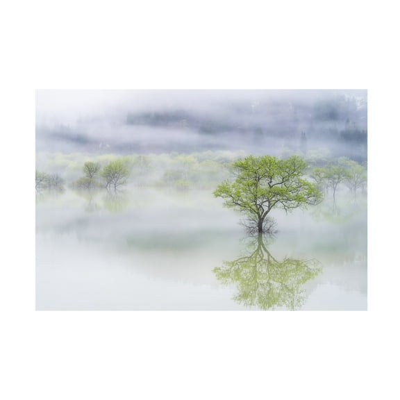 Canvas Wall Art - Suntararak Saowanee 'Dreamy Tree' Wall Art for Living Room, Bedroom, or Office Décor by Trademark Fine Art - 19 x 12 Inches