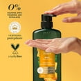 thumbnail image 6 of (2 pack) Herbal Essences Honey Daily Moisture Sulfate Free Shampoo, for All Hair Types 20.2 fl oz, 6 of 10