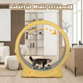 thumbnail image 3 of FRCOLOR  Cat Running Wheel for Indoor Use Removable Scratcher Quiet and Safe Design, 3 of 7
