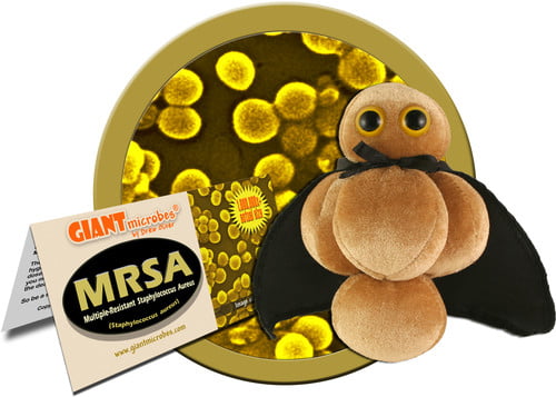 GIANT MICROBES-MRSA PETRI DISH-Stuffed Plush Superbug Staph Bacteria Biology NEW 