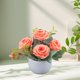 thumbnail image 5 of Planta Artificial de Potted Naranja Decorativa Flores de Plástico Secas Flores de Potted Simulación Flores de Dried Flores para el Hogar Decoración de la Mesa de Comedor Sala de Estar Gabinete de TV P, 5 of 6