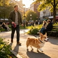 thumbnail image 2 of Retractable Dog Leash – Extendable up to 16.4 FT, Heavy Duty Nylon Tape, No-Tangle, One-Handed Brake & Lock, for Small to X-Large Dogs up to 110 lbs (Red), 2 of 7