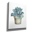 thumbnail image 2 of Epic Graffiti 'Mixed Greens Succulent IV' by Lisa Audit, Canvas Wall Art, 20"x24", 2 of 2