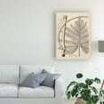 thumbnail image 3 of Trademark Fine Art 'Distinctive Leaves I' Canvas Art by Vision Studio, 3 of 4
