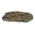thumbnail image 1 of Reptile Dinosaur Decoration, Eco Friendly Dinosaur Aquarium Decoration Beautiful Slippy Edges Resin For Fish Tank Decor ANGGREK No, 1 of 7