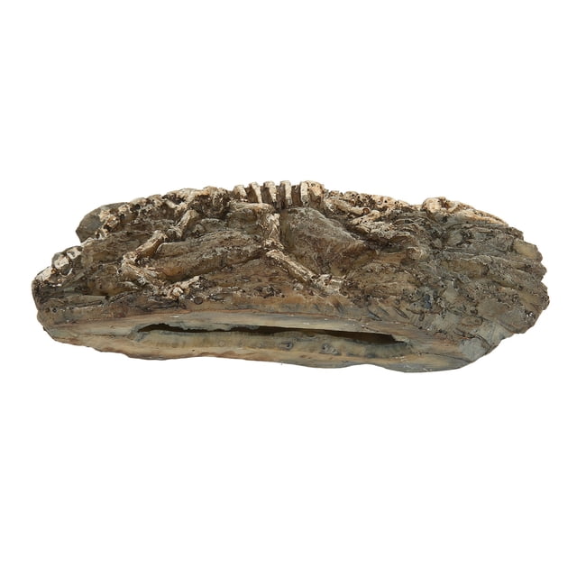 Reptile Dinosaur Decoration, Eco Friendly Dinosaur Aquarium Decoration Beautiful Slippy Edges Resin For Fish Tank Decor ANGGREK No