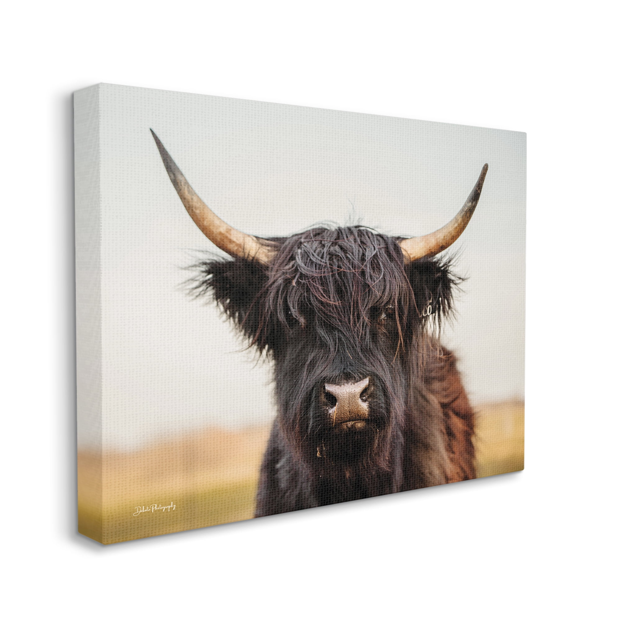 Stupell Industries Black Highland Cow Portrait Animals & Insects Photography Gallery Wrapped Canvas Print Wall Art, 20 x 16