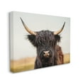 thumbnail image 4 of Stupell Industries Black Highland Cow Portrait Animals & Insects Photography Gallery Wrapped Canvas Print Wall Art, 20 x 16, 4 of 8