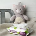 thumbnail image 3 of EcoQuality 60ct Freshies Flushable Wipes For Home Baby And Adults Use (120), 3 of 3
