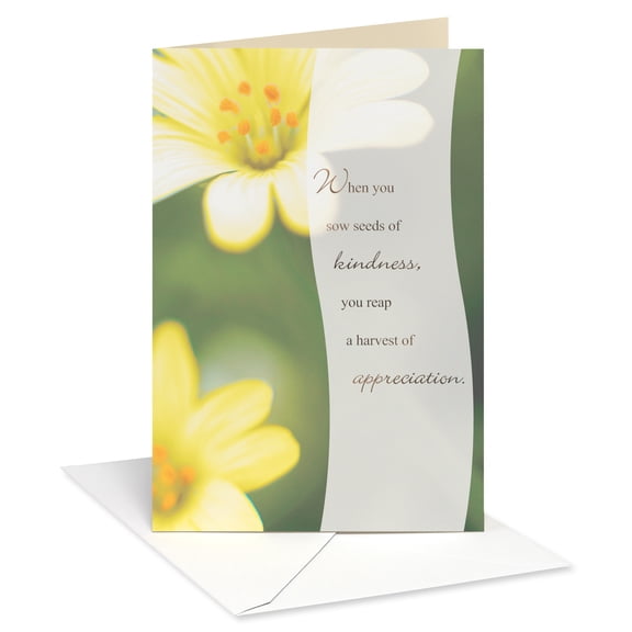 American Greetings Religious Thank You Card (Harvest of Appreciation)