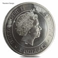 thumbnail image 2 of 1 oz Silver Coin Random Mint .999+ Fine (Milky, Scruffy, Toned), 2 of 4