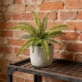 thumbnail image 1 of MTBLYS Guirnaldas artificiales colgantes|plantas artificiales de plástico para decoración de paredes interiores y exteriores|Juego de follaje decorativo para el hogar, 1 of 6