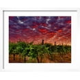 thumbnail image 2 of Art.com Walla Walla Wine Country, Walla Walla, Washington, USA Photographic Print by Richard Duval, White Frame Wall Art, 21" x 17", 2 of 5