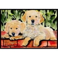 thumbnail image 1 of Carolines Treasures SS8908JMAT 24 x 36 in. Golden Retriever Doormat, 1 of 4