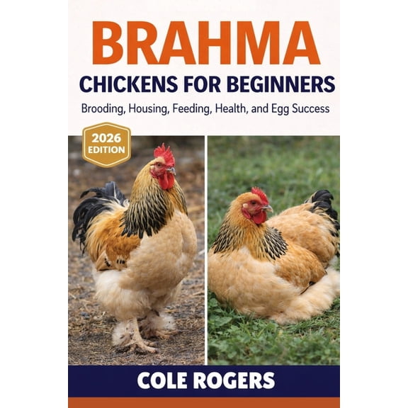 Brahma Chickens for Beginners: Brooding, Housing, Feeding, Health, and Egg Success, (Paperback)