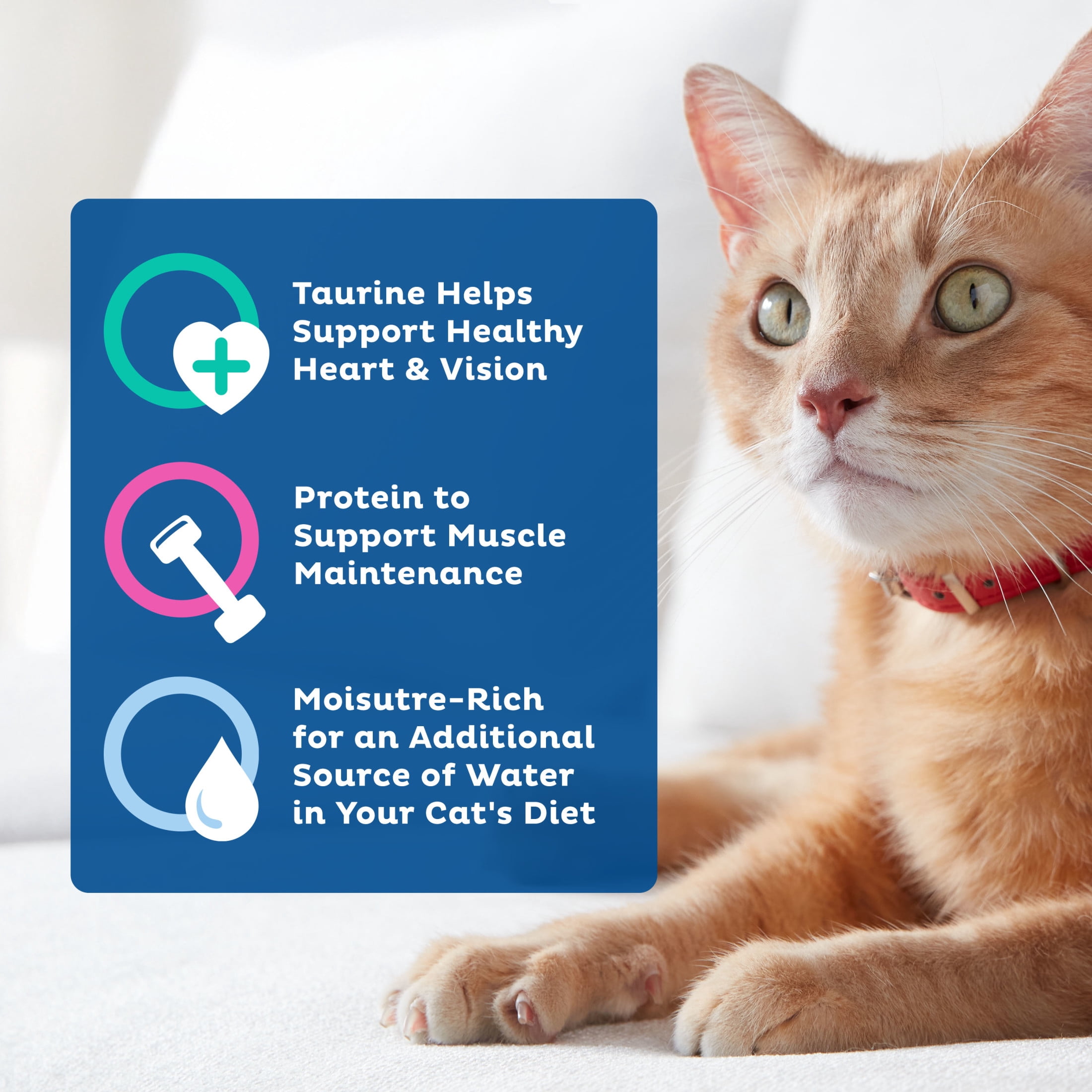 (12 pack) 9Lives Bites Wet Cat Food With Real Chicken & Beef in Gravy, 5.5 oz. Can