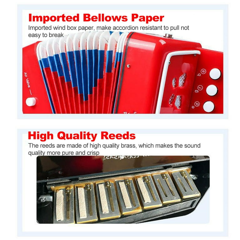 Dcenta Kids Accordion Toy 10 Keys Buttons Mini Accordion Musical Instruments for Children, Kids, Toddlers, Beginners, Blue