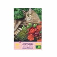 thumbnail image 4 of Rc. Gold Edition 300 Pzs, El Dominio del Gato WUUNDENTOY wuunden toy 0515, 4 of 6