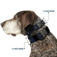 thumbnail image 2 of Buckle-Down Pet Collar, Dog Collar Plastic Buckle, South Carolina Flag Distressed Black, 8.5 to 12 Inches 0.5 Inch Wide, 2 of 8