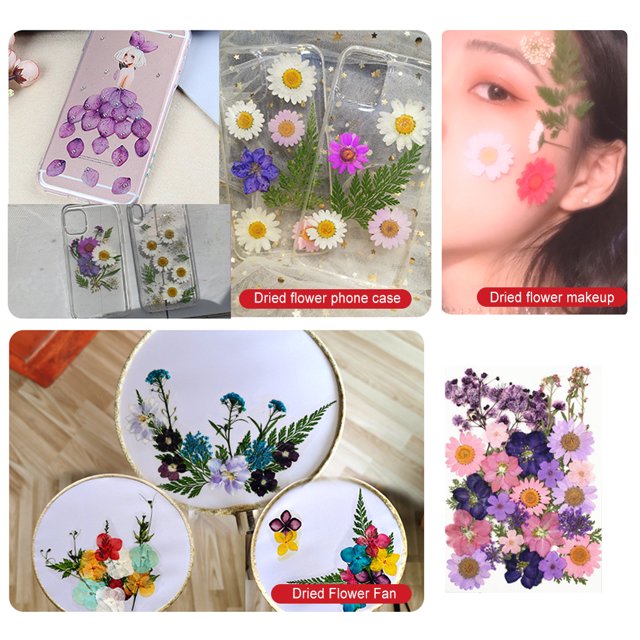 Dried Flowers Set Scrapbooking Decorating Real Flower flowers are made of Decal Handicraft Filling Pressed Specimen Label for Makeup Phone Use Type 12