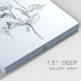 thumbnail image 3 of Wild Poppy Sketch Premium Gallery Wrapped Canvas - Ready to Hang, 3 of 9