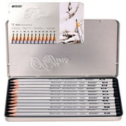 Raffine Artist Graphite Pencils Set for Drawing, Sketching, Writing, Tin Gift  Box, 12 Degree Set -2H, H, F, HB, B, 2B, 3B, 4B, 5B, 6B, 7B, and 8B (12 pc)