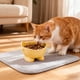thumbnail image 5 of Ireezec Elevated Cat Food and Water Bowl, Anti-Vomit Slow Feeder, Tilted Design for Neck Support, Whisker Friendly Wide Shallow Dish, Non-Slip Ba, Large Capacity Pet Feeding Station, 5 of 6