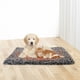thumbnail image 3 of Tapete Engrosado Universal Lavable Y Extraíble para Gatos Y (L), 3 of 9