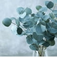 thumbnail image 2 of 10 Seeds Baby Blue Eucalyptus Seeds for Planting, Aromatic Foliage Blue-Green Leaves for Garden, 2 of 6