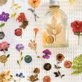 thumbnail image 5 of Embossed theme Sticker Set Dried Flower Resin Sticker Scrapbook Supplies Flower Plant magazine sticker 320pcs, 5 of 5